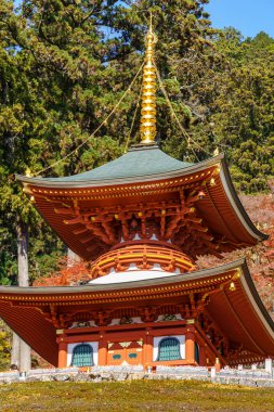 Osaka 'da sonbahar zamanı