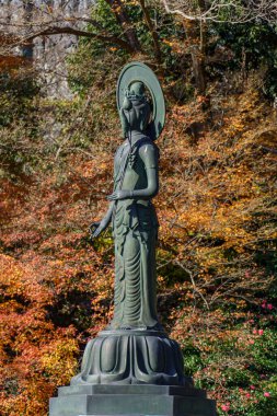 Japonya 'daki Osaka şehri.