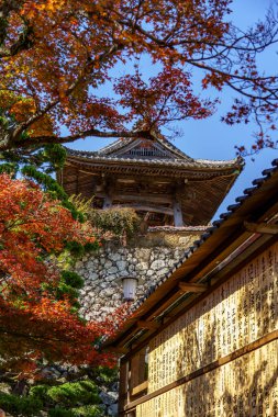 Japonya 'daki Osaka şehri.