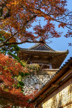 Japonya 'daki Osaka şehri.