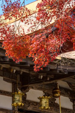 Japonya 'daki Osaka şehri.