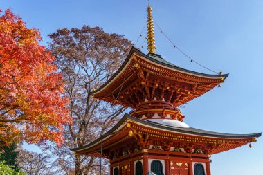 Sonbahar zamanı Japonya 'da osaka.