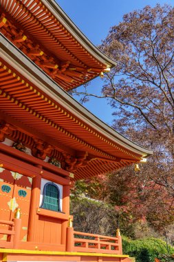 Sonbahar zamanı Japonya 'da osaka.