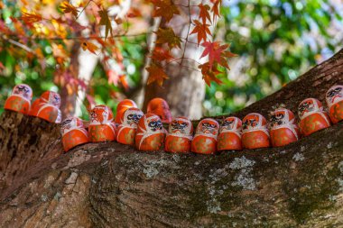 Sonbahar zamanı Japonya 'da osaka.