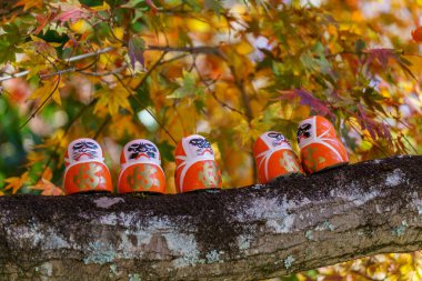 Sonbahar zamanı Japonya 'da osaka.