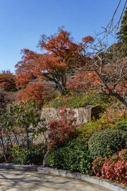 Sonbahar zamanı Japonya 'da osaka.