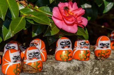 Sonbahar zamanı Japonya 'da osaka.