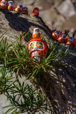 Sonbahar zamanı Japonya 'da osaka.