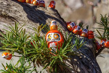 Sonbahar zamanı Japonya 'da osaka.