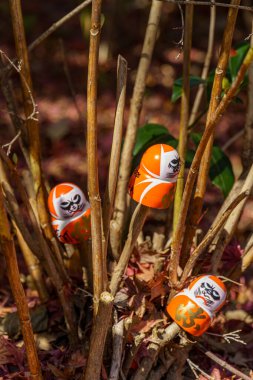 Sonbahar zamanı Japonya 'da osaka.