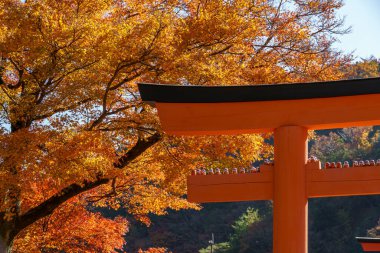 Sonbahar zamanı Japonya 'da osaka.