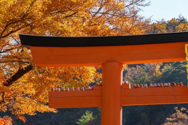 Sonbahar zamanı Japonya 'da osaka.