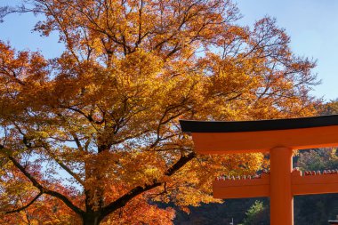 Sonbahar zamanı Japonya 'da osaka.