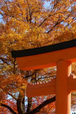 Sonbahar zamanı Japonya 'da osaka.