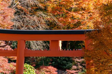 Sonbahar zamanı Japonya 'da osaka.
