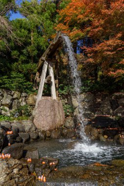 Oak Japonya 'da sonbahar zamanı