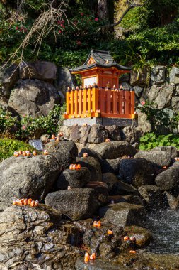 Oak Japonya 'da sonbahar zamanı