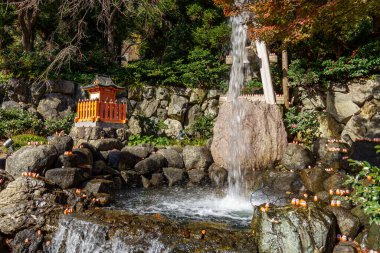 Oak Japonya 'da sonbahar zamanı