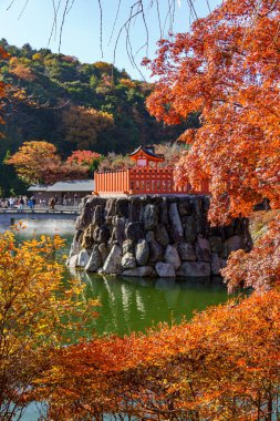 Oak Japonya 'da sonbahar zamanı