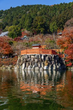 Oak Japonya 'da sonbahar zamanı