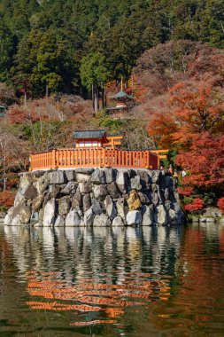 Oak Japonya 'da sonbahar zamanı