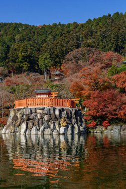 Oak Japonya 'da sonbahar zamanı