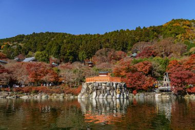 Oak Japonya 'da sonbahar zamanı