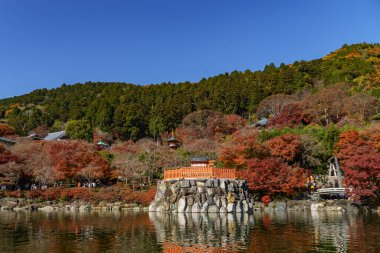 Oak Japonya 'da sonbahar zamanı