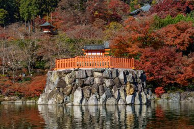 Oak Japonya 'da sonbahar zamanı