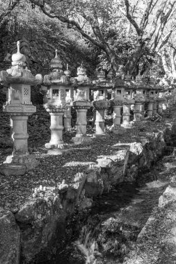 Japonya 'da Osaka yakınlarında sonbahar zamanı