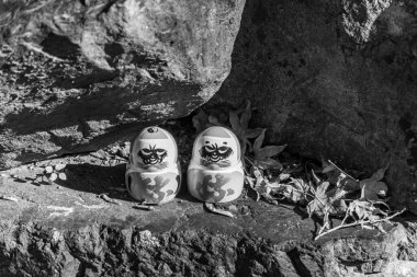 Japonya 'da Osaka yakınlarında sonbahar zamanı