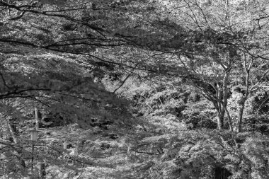 Japonya 'daki osaka şehri.