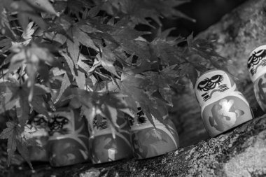 Japonya 'daki osaka şehri.