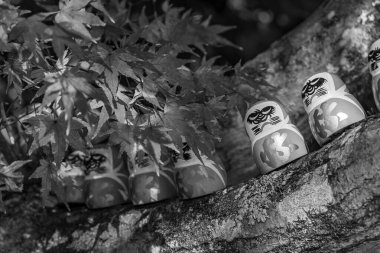 Japonya 'daki osaka şehri.