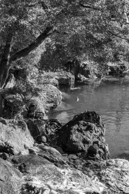 Japonya 'daki osaka şehri.