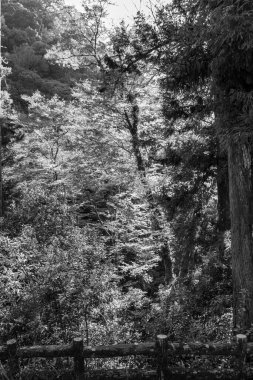 Japonya 'daki osaka şehri.