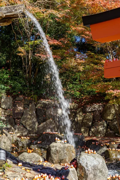 Oak Japonya 'da sonbahar zamanı