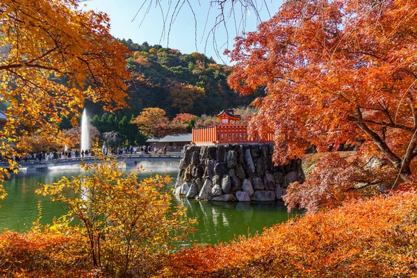 Oak Japonya 'da sonbahar zamanı