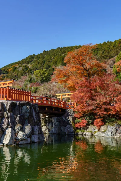 Oak Japonya 'da sonbahar zamanı