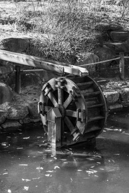 Kış aylarında Güney Kore