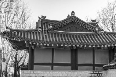 Kış aylarında Güney Kore