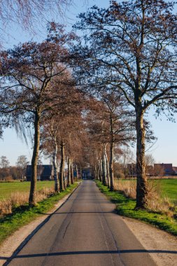 Borken yakınlarındaki Westphalia 'da manzara