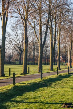 Borken yakınlarındaki Westphalia 'da manzara