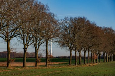 Borken yakınlarındaki Westphalia 'da manzara