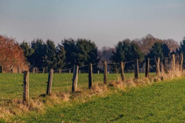 Borken yakınlarındaki Westphalia 'da manzara