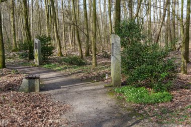 Alman ruhunun Westerholt köyü.