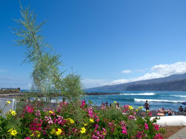 teneriffe siteleri