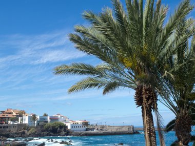 teneriffe siteleri