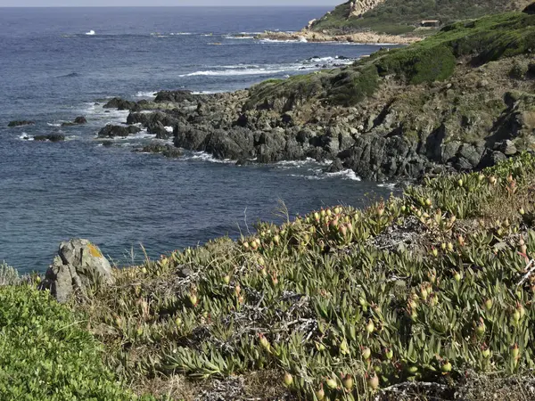 A ilha da Córsega — Fotografia de Stock