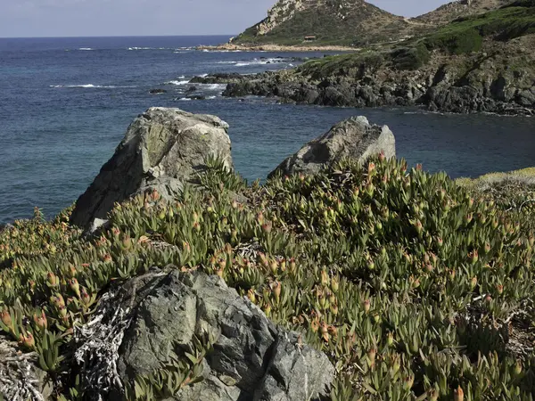 A ilha da Córsega — Fotografia de Stock